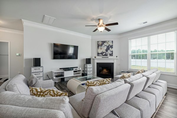 Attirez les Abeilles : Transformez Votre Jardin en Havre de Pollinisation